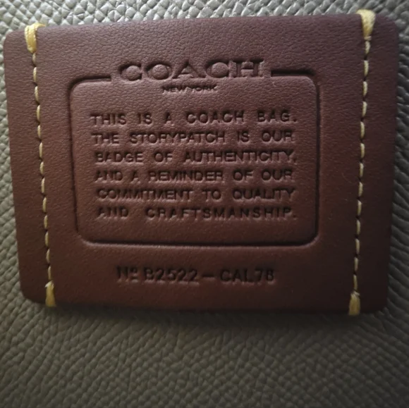 Coach Mollie Tote/Crossbody Lemon Print Coated Canvas With        Wristlet-NWT - Picture 10 of 16